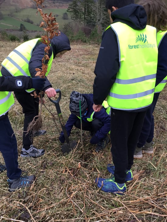 Garwnant tree planting with local school