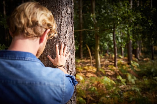 Forest Bathing activity at Blackwood Forest, Forest Holidays