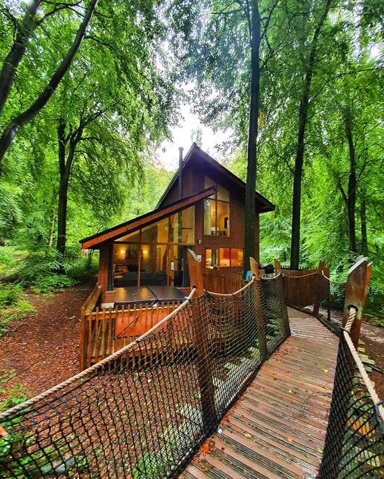 Blackwood Treehouse image by @therealaliceebbs
