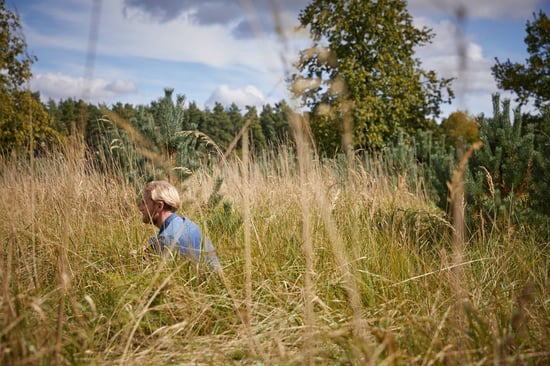 Guest Forest Bathing at Forest Holidays, Blackwood Forest in Hampshire