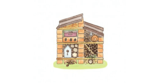 Finished bug hotel hand drawn image