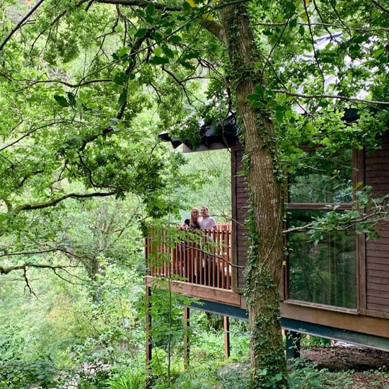 Golden Oak Treehouse in summer at Deerpark, Forest Holidays