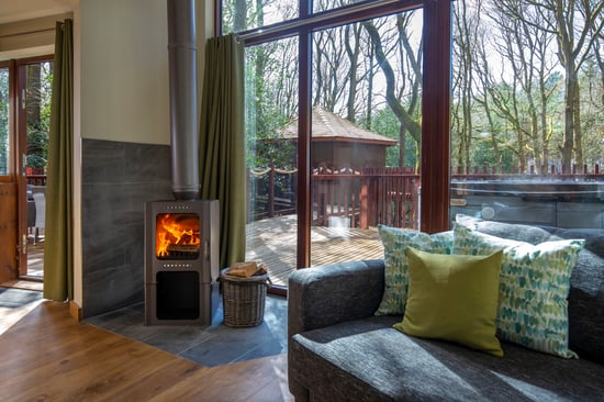 View of Golden Oak Treehouse at Foroest Holidays