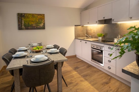 Kitchen of Silver Birch, Delamere Forest