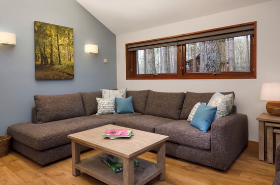 Silver Birch living room