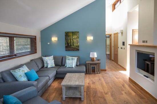 Wheelchair-Adapted Silver Birch living room