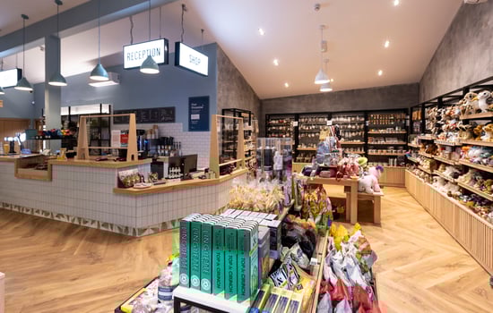 Delamere Forest reception and shop area in the Forest Retreat