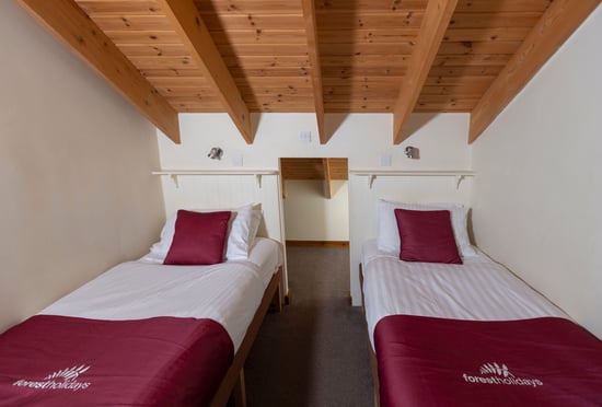 Golden Oak Treehouse twin bedroom at Deerpark, Cornwall
