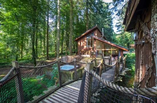A cabin sits in a dense forest. A rope bridge leads to the cabin’s entrance, surrounded by tall trees and sunlight filtering through the leaves.