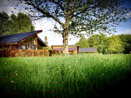 Exterior view of the Golden Oak cabin at Forest of Dean, Forest Holidays