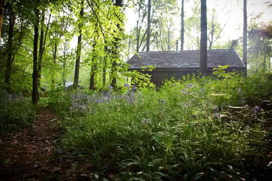 Log cabins at Forest of Dean, Gloucestershire