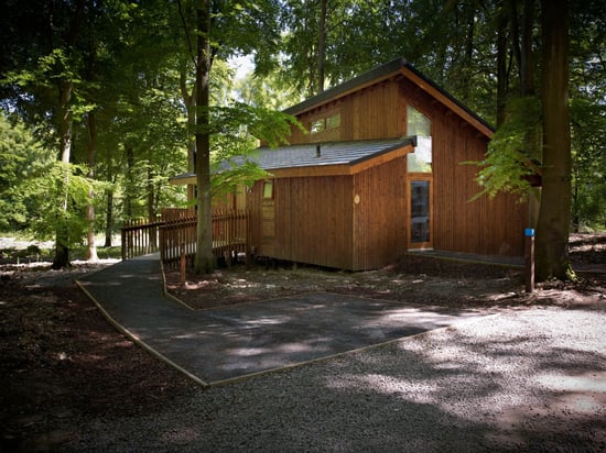 Exterior view of the Wheelchair-Adapted Silver Birch at Blackwood Forest, Forest Holidays