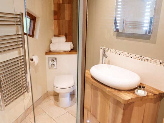 Golden Oak Treehouse bathroom