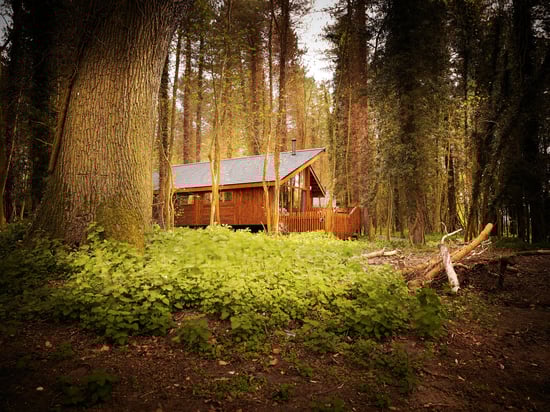 Log cabin exterior view at Thorpe Forest, Forest Holidays