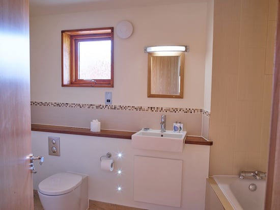 Silver Birch bathroom