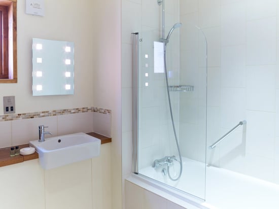 Silver Birch bathroom