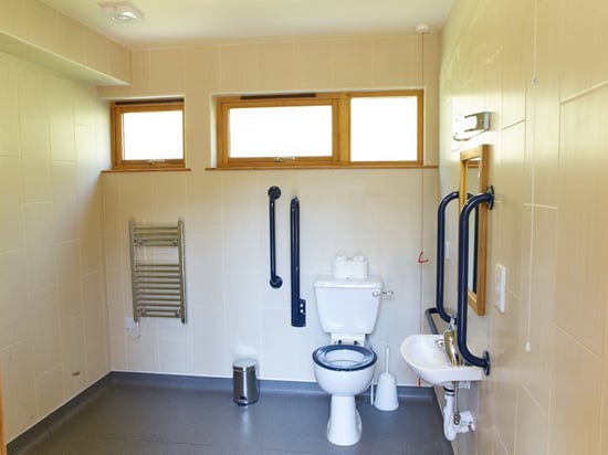 Wheelchair-Adapted Silver Birch bathroom