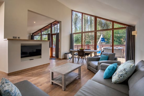 Wheelchair-adapted Silver Birch lounge