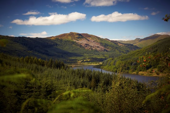 View of the forest from Strathyre in Scotland