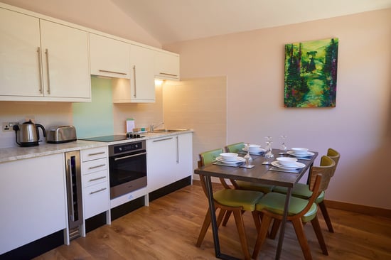 Silver Birch kitchen at Beddgelert, Forest Holidays