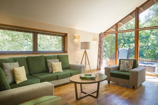 Silver Birch lounge at Beddgelert, Forest Holidays
