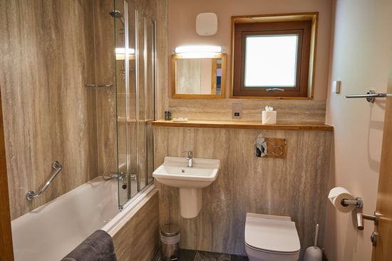 Silver Birch bathroom at Beddgelert, Forest Holidays