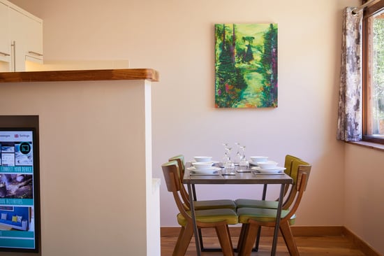 Silver Birch kitchen at Beddgelert, Forest Holidays
