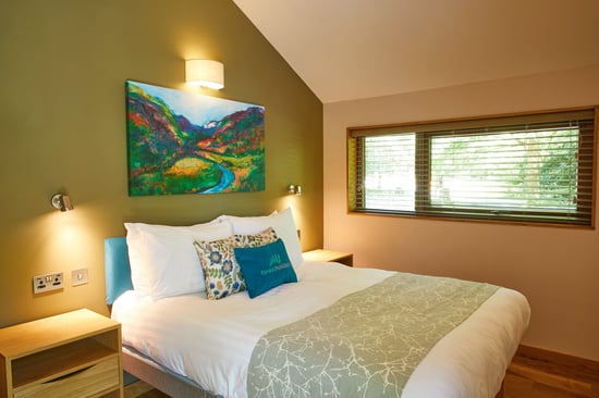 Wheelchair-adapted Silver Birch bedroom at Beddgelert, Forest Holidays
