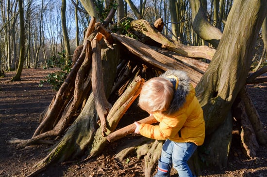 Forest Ranger den building