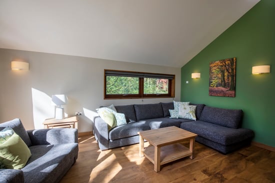 Golden Oak Treehouse lounge at Delamere Forest, Cheshire