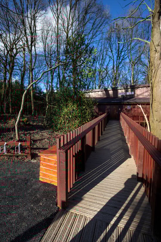 Wheelchair-adapted Silver Birch ramp access 