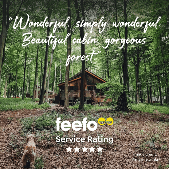 Photo of cabin in forest with review text: Wonderful. Simply Wonderful. Beautiful cabin, gorgeous forest.