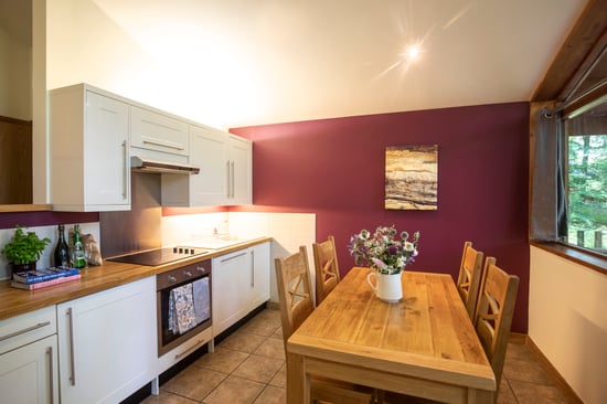 Kitchen in Golden Oak cabin at Forest Holidays