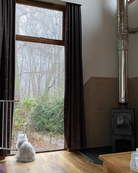 Cabin at Forest Holidays