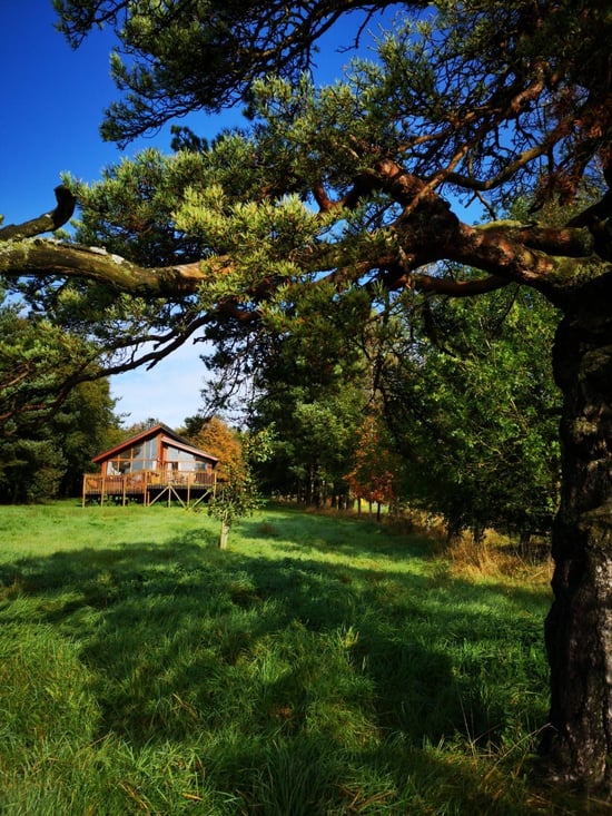 Log cabin at Cropton by @lauramaylamb