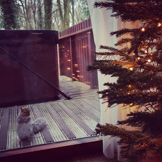 Christmas at Forest Holidays 