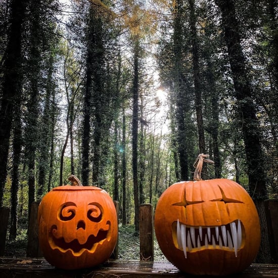 Pumpkins at Forest Holidays