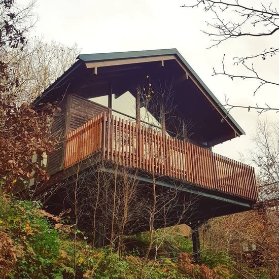 View of Deerpark cabins at Forest Holiday by @jamie.welborn