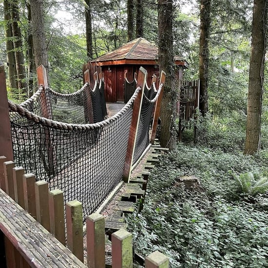 Exterior view of the Golden Oak Treehouse at Forest Holidays by @victoria_foulger