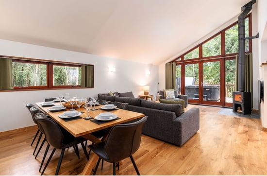 Living room and dining area at Forest Holidays