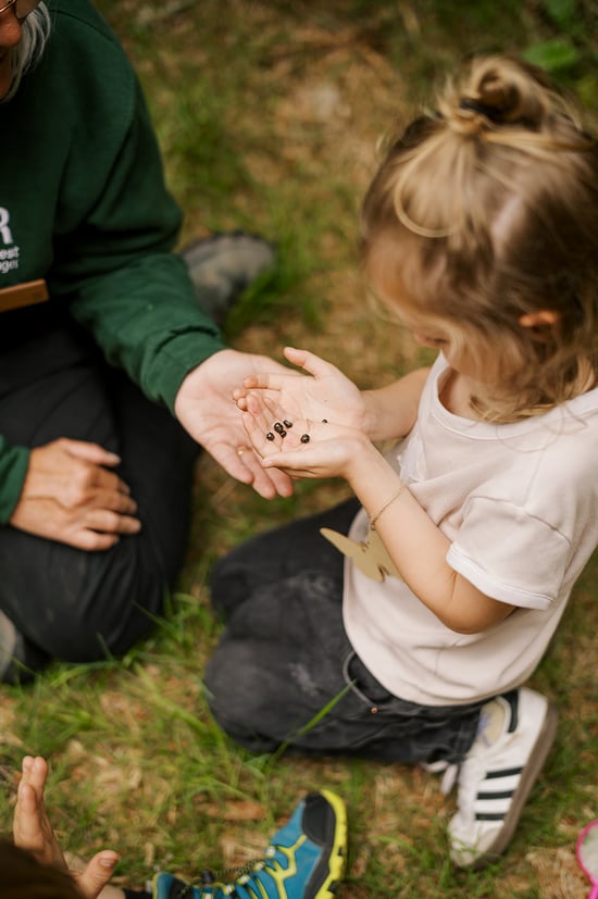 A child looking at bugs in an adults hand