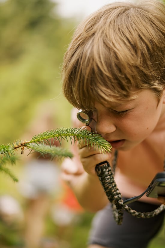 A child looking at a leaf up close with a magnifying glass