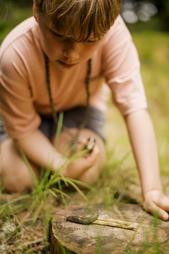 A child looking at a snail