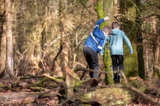 Young kids exploring the forest