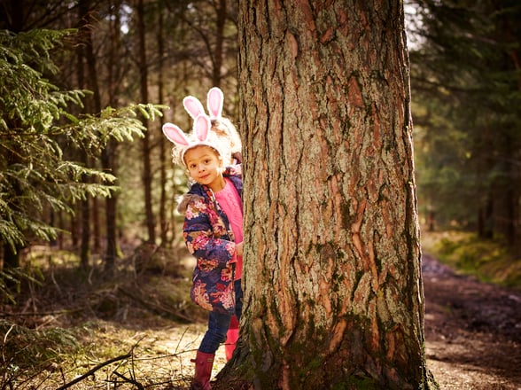 Child on an Easter egg hunt in the forest