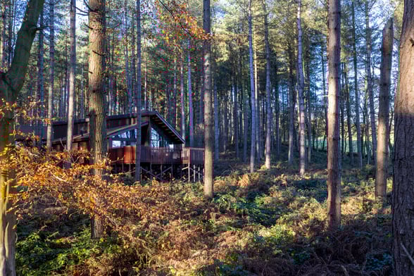 December holidays from £430