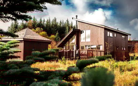 Wake up in a treehouse