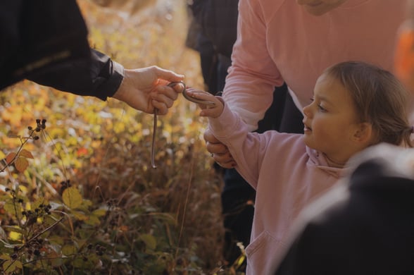 A child touching a grass snake