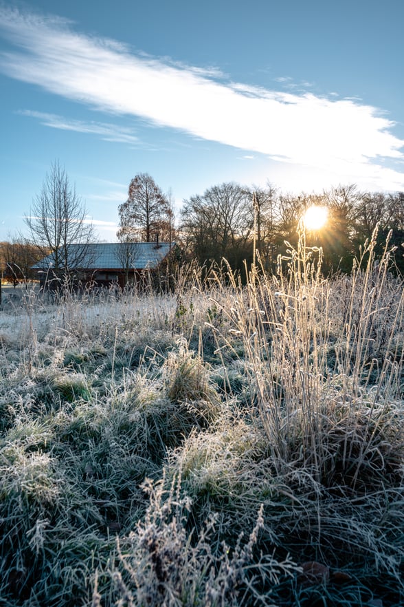 Winter log cabin at Forest of Dean