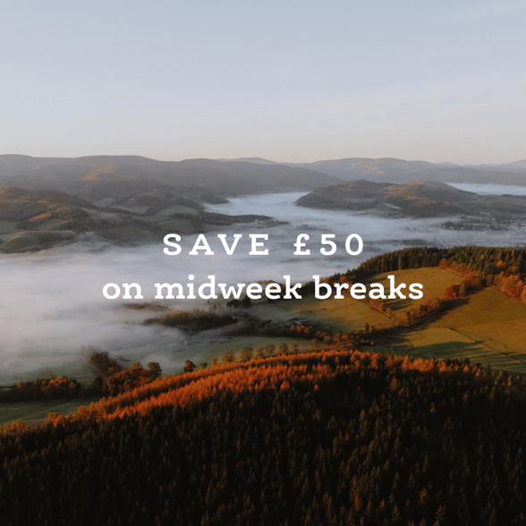 Black Friday savings